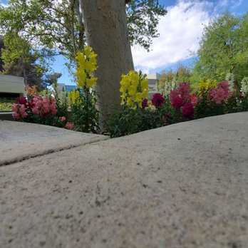 Lied Library - Libraries Near Me - Las Vegas, Nevada