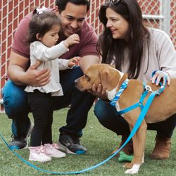 Santa Ynez Valley Humane Society
