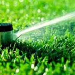 SP & LC Landscape Contractors