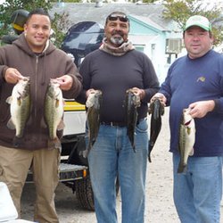 Blue Fish Cove Resort - May be little fish but all are fun