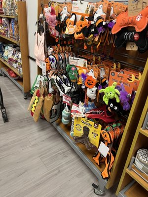 TJ MAXX - Updated August 2025 - 91 Photos & 87 Reviews - 1776 E