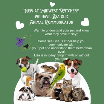 Midwest Witchery and Healing - Specialty Schools Near Me - Stillwater, Minnesota Midwest Witchery and Healing - Specialty Schools Near Me - Stillwater, Minnesota