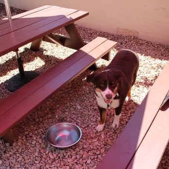 Mirror Lake Diner - Saw two dogs on the "patio" which is really just a few picnic tables sitting on a bed of gravel. The servers brought out bowls of water! - Diners Near Me - Kamas, Utah Mirror Lake Diner - Saw two dogs on the "patio" which is really just a few picnic tables sitting on a bed of gravel. The servers brought out bowls of water! - Diners Near Me - Kamas, Utah