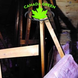 Canada Green Insulation