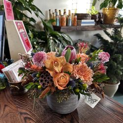 Jackson Blume Studio