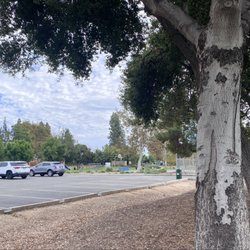 Gladstone Park - Parking Situation