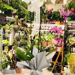 Si Hardinera Plant & Flower Shop - customers choice, orchid arrangements.