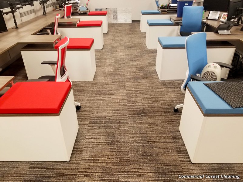 INJOI CARPET CLEANING Updated September 2024 176 Photos Lithonia