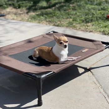 Courteous Canine - Pet Training Near Me Courteous Canine - Pet Training Near Me