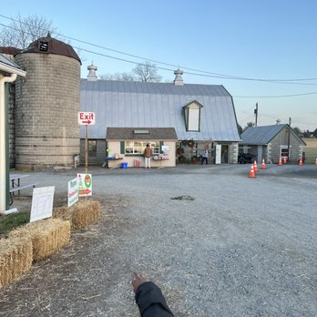 Mayne's Tree Farm - stand where you can buy - Farmers Market Near Me - Buckeystown, Maryland
