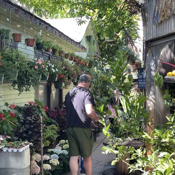 Mickey Hargitay Plants - As you first walk in - Nurseries & Gardening Near Me - Los Angeles, California Mickey Hargitay Plants - As you first walk in - Nurseries & Gardening Near Me - Los Angeles, California
