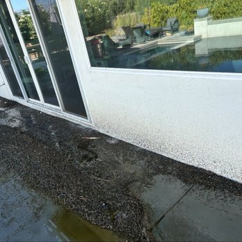 Harris Solar Panel Cleaning and Bird Proofing - Solar Panel Cleaning Near Me Harris Solar Panel Cleaning and Bird Proofing - Solar Panel Cleaning Near Me