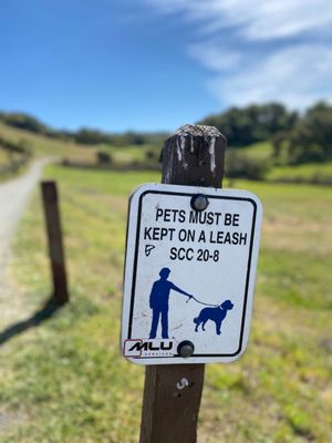 Taylor Mountain Regional Park by null
