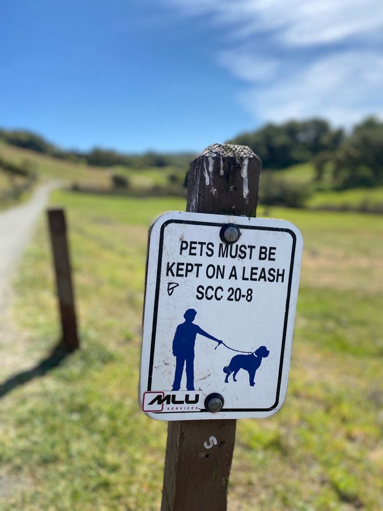 Social spots from Taylor Mountain Regional Park and Open Space Preserve