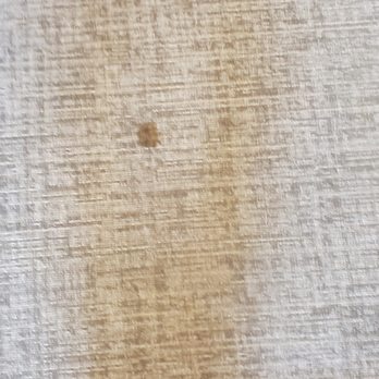 Atlas Apartments - Shit stained carpets - Apartments Near Me - Issaquah, Washington Atlas Apartments - Shit stained carpets - Apartments Near Me - Issaquah, Washington