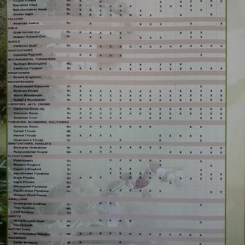 Tucker Wildlife Sanctuary - Birds seen in 2016. - Parks Near Me - Silverado, California Tucker Wildlife Sanctuary - Birds seen in 2016. - Parks Near Me - Silverado, California