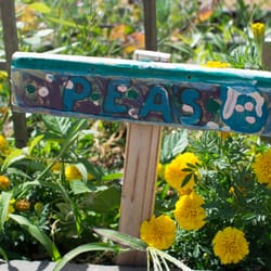 Lane Child and Family Center - Peas in the mini learning garden