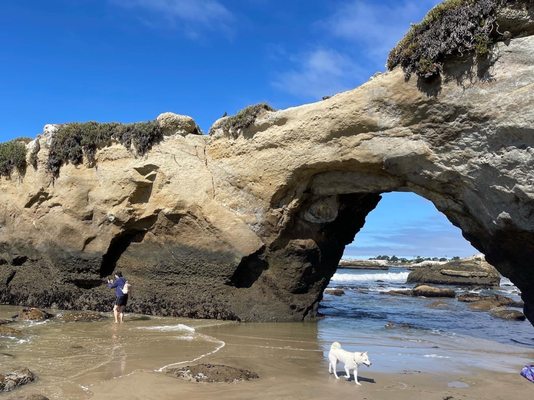 Lighthouse Field State Beach by null