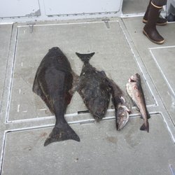 BestDamnCharters