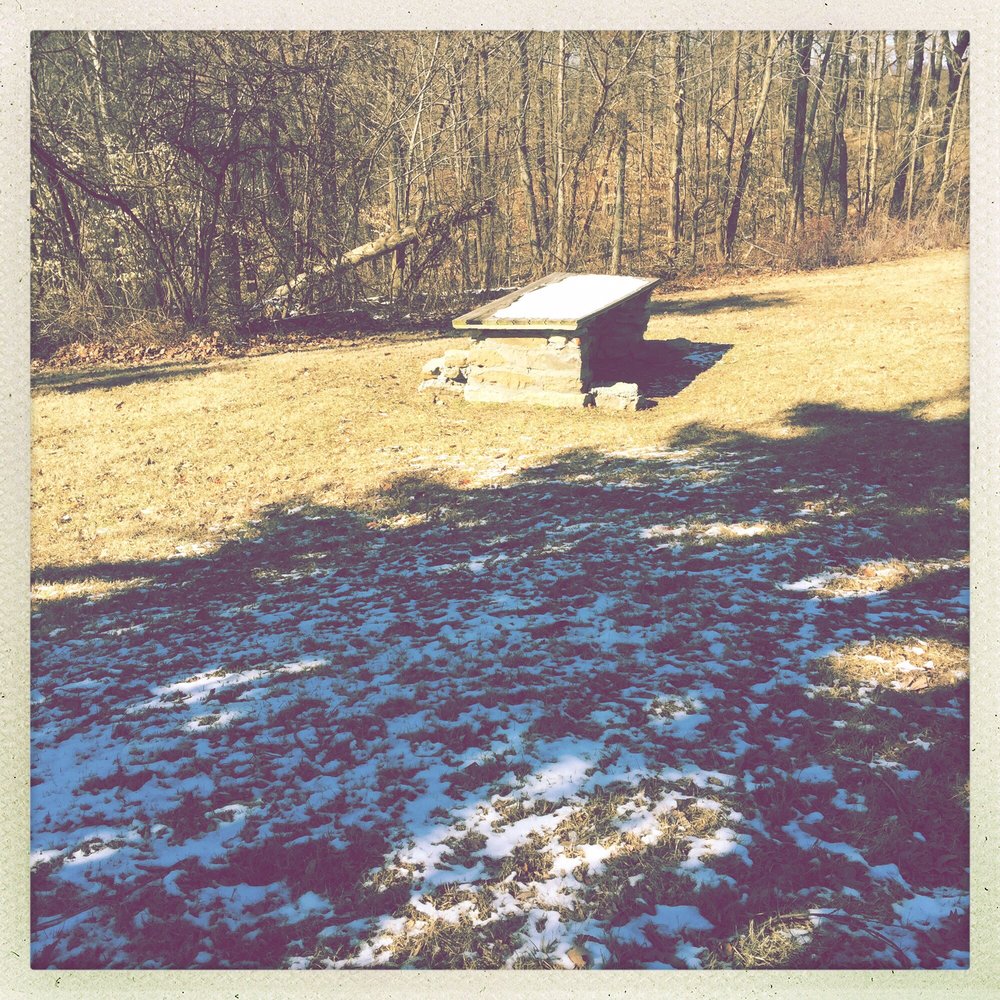 Clark State Forest - One of the many tables in a great area - Parks Near Me Clark State Forest - One of the many tables in a great area - Parks Near Me