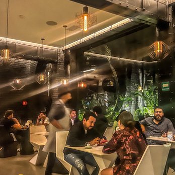 FÓNICO - Restaurants Near Me - México, D.F., DIF