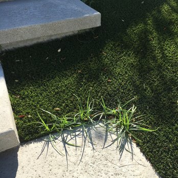 SmartGrass - Artificial Turf Near Me - Manhattan Beach, California SmartGrass - Artificial Turf Near Me - Manhattan Beach, California