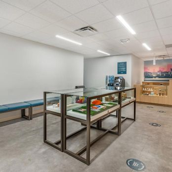 Curaleaf - Cannabis Clinics Near Me - Sarasota, Florida