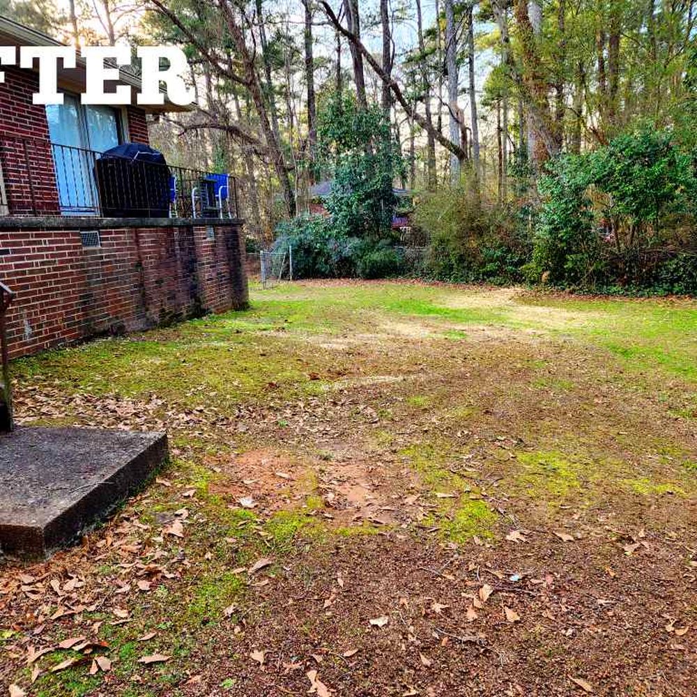 Asah Tree Service - Tree Services Near Me - Acworth, Georgia