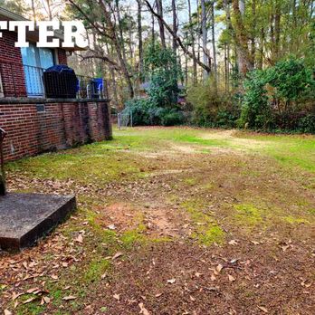 Asah Tree Service - Tree Services Near Me - Acworth, Georgia Asah Tree Service - Tree Services Near Me - Acworth, Georgia