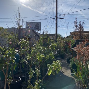 Echo Garden - Nurseries & Gardening Near Me - Los Angeles, California Echo Garden - Nurseries & Gardening Near Me - Los Angeles, California