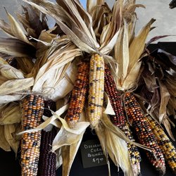 Ironwood Farms - Indian corn