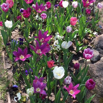 Crystal Hermitage Gardens - Community Gardens Near Me - Nevada City, California