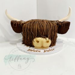 Cakes By Tiffany - Highland Cow- 8" White Almond Wedding cake. Homemade buttercream. Fully covered in chocolate fondant hair & details.