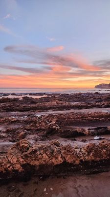 Paradise Cove Beach by null