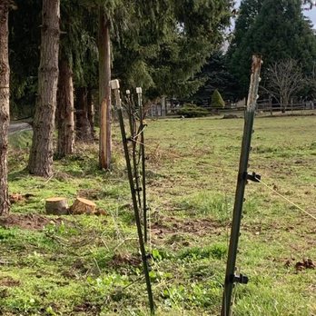 Sequim Valley Stables - Horseback Riding Near Me - Sequim, Washington