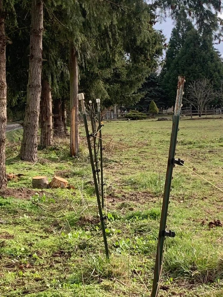 Sequim Valley Stables - Horseback Riding Near Me - Sequim, Washington Sequim Valley Stables - Horseback Riding Near Me - Sequim, Washington