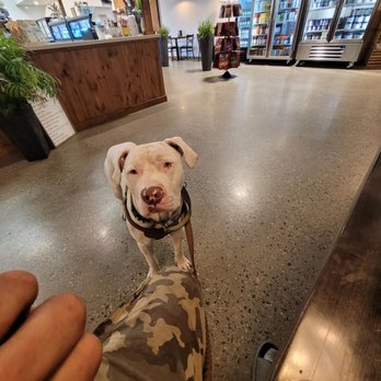 Crossroads Cafe - a dog standing on a leash - Coffee & Tea Near Me - Quarryville, Pennsylvania Crossroads Cafe - a dog standing on a leash - Coffee & Tea Near Me - Quarryville, Pennsylvania