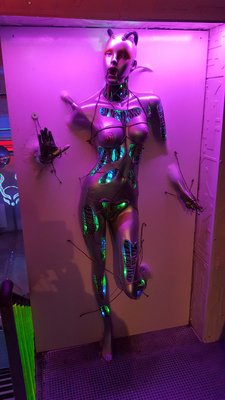 Cyberdog by null