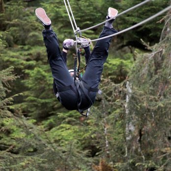 Alaska Canopy Adventures - Tours Near Me - Ketchikan, Alaska Alaska Canopy Adventures - Tours Near Me - Ketchikan, Alaska