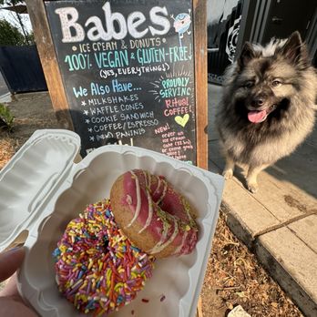 Babes Ice Cream & Donuts - Donuts Near Me - Sacramento, California