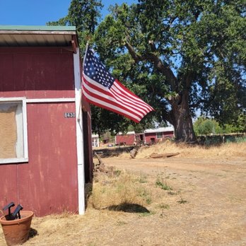 Rustic Roots Farm Stand - Enjoy the shade under the 430 year old Heritage Oak - Attraction Farms Near Me - Wilton, California