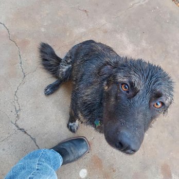 Care Animal Hospital - Frida :) - Veterinarians Near Me - Temecula, California Care Animal Hospital - Frida :) - Veterinarians Near Me - Temecula, California