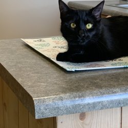 Maple Grove Veterinary Clinic