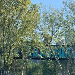 Be Someone - Covered by trees