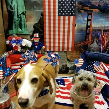 PetSmart - 4th of July Party 2018 - Having so much fun! - Pet Stores Near Me - Troy, Michigan