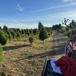Sleigh rides for $2 Sleigh rides for $2