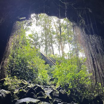 Kaumana Caves - Entrance to the cave on the right side - Parks Near Me Kaumana Caves - Entrance to the cave on the right side - Parks Near Me