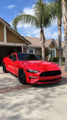 BOOK YOUR AUTO DETAIL - BOOK YOUR AUTO DETAIL NOW! BOOK YOUR AUTO DETAIL - BOOK YOUR AUTO DETAIL NOW!