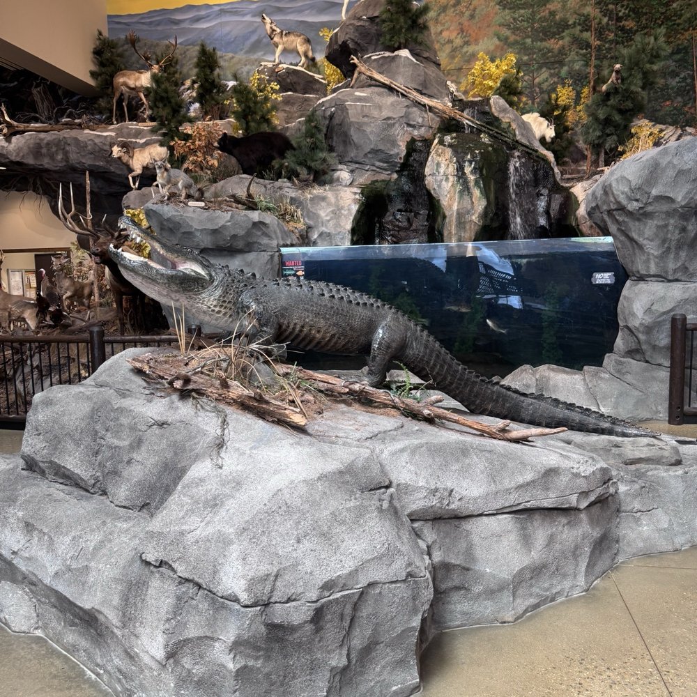 Bass Pro Shops - Sporting Goods Near Me - Garner, North Carolina Bass Pro Shops - Sporting Goods Near Me - Garner, North Carolina