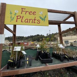 The Watershed Nursery